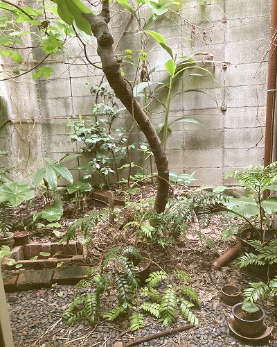 うてな喫茶店【中崎町】